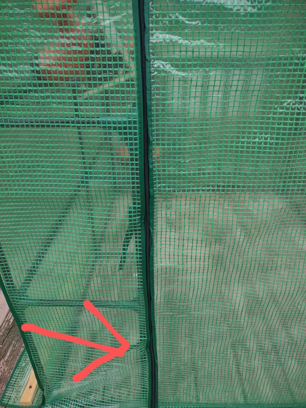 Nova Microdermabrasion Walk-in Greenhouse for Outdoors, 57 x 57 x 77 inch, Portable PE Cover Greenhouse with Anchors and Ropes Indoor Outdoor-3 Tier 8 Wired Shelves Plant Gardening Hot House customer photo 1