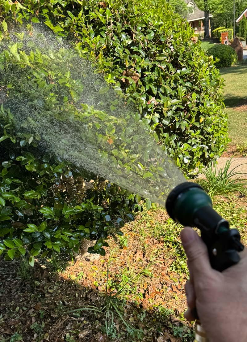 AUTOMAN Garden Hose Nozzle, Water Hose Sprayer Nozzle with 7 Adjustable Watering Patterns, Slip Resistant for Watering Plants, Lawn& Garden, Washing Cars, Cleaning, Showering Pets & Outdoor Fun. customer photo 2
