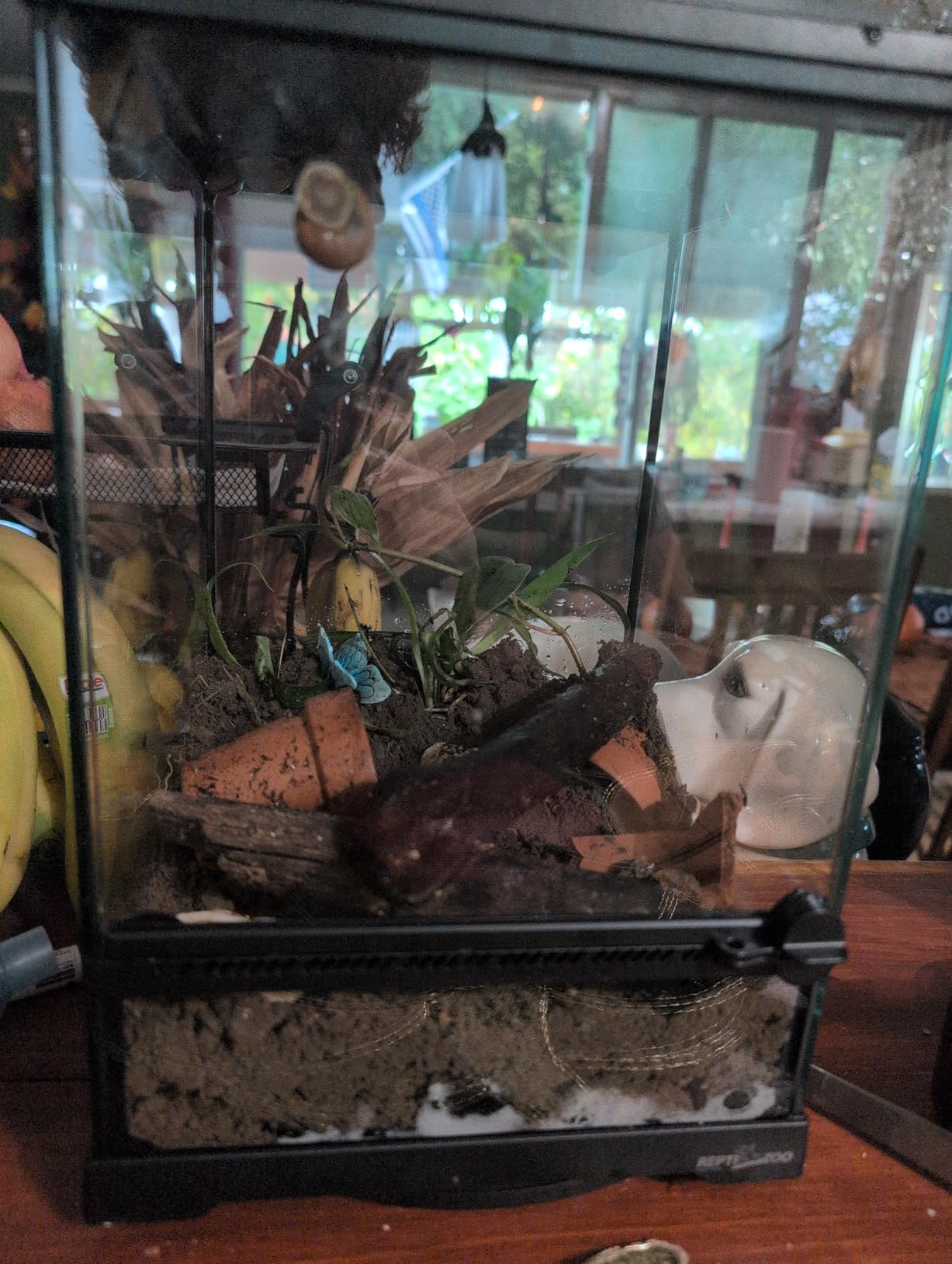 REPTIZOO Mini Reptile Glass Terrarium Tank 8