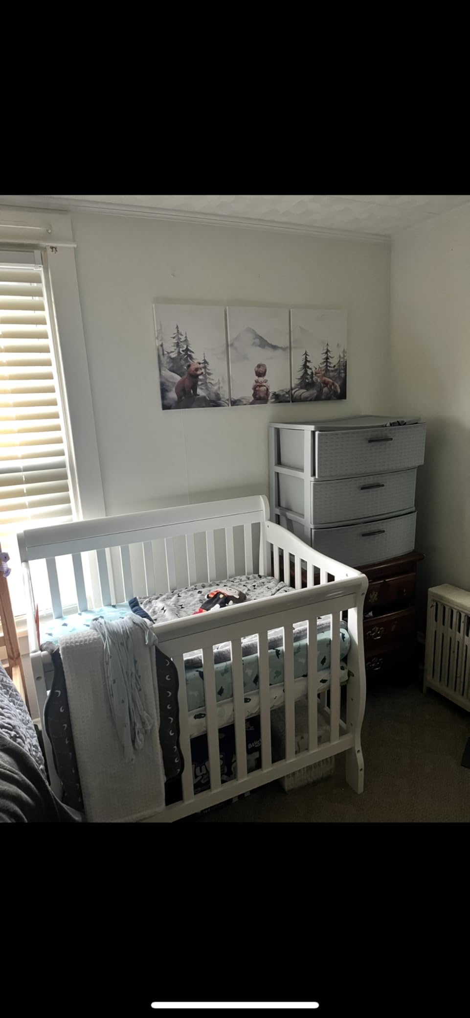 Blinds, Mahogany, 30 x 64 in customer photo 2