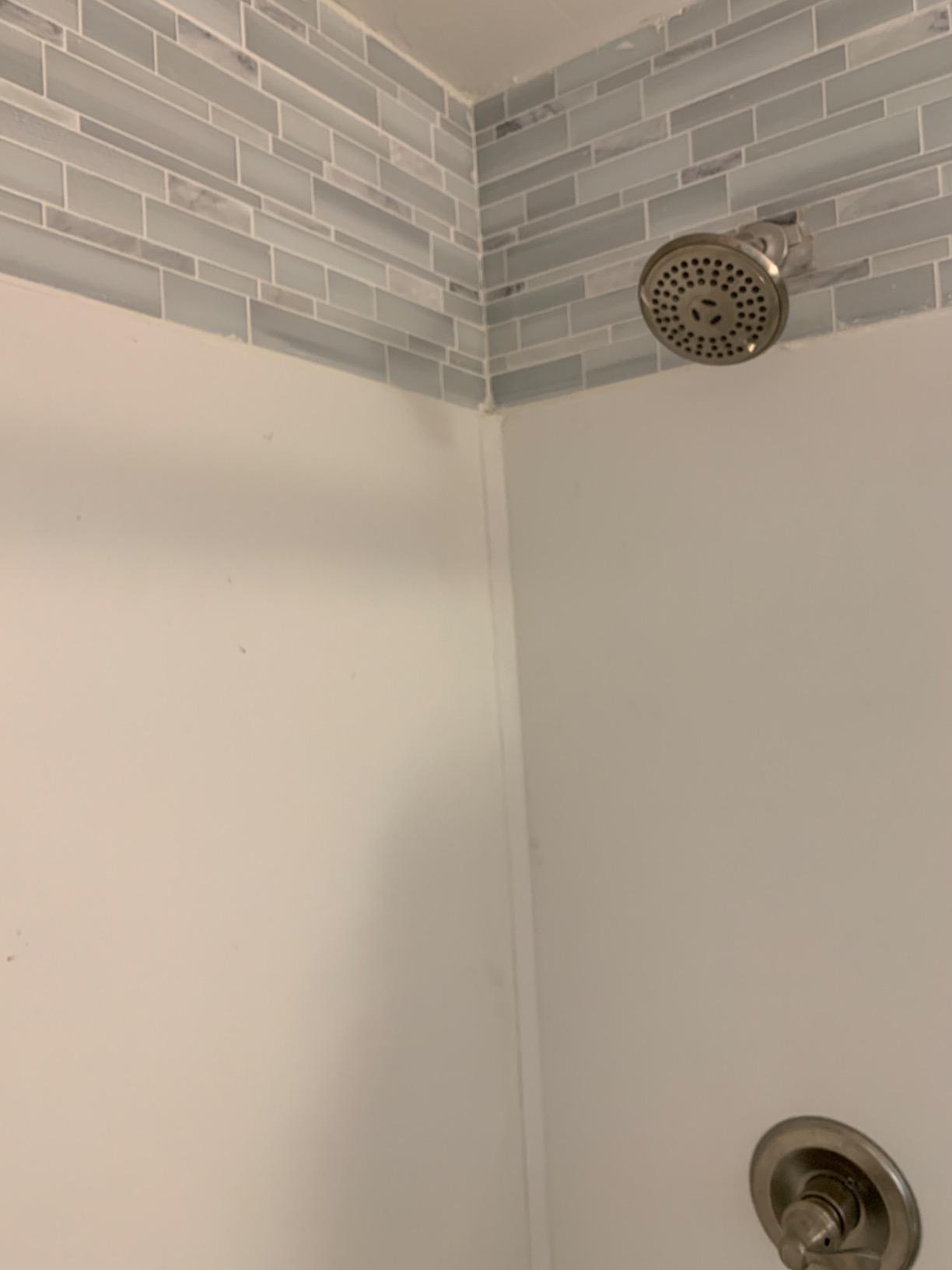 Transolid Expressions Shower Wall Panel Kit, 60