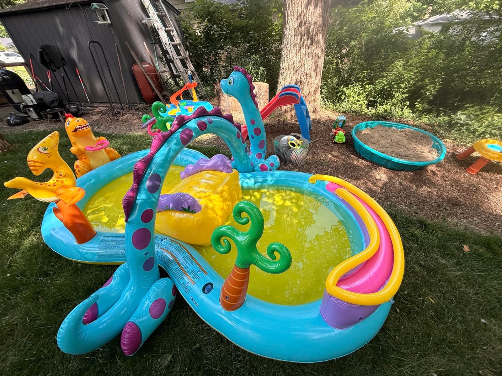 INTEX Jungle Adventure Inflatable Water Slide Park & Kiddie Swimming Pool customer photo 1