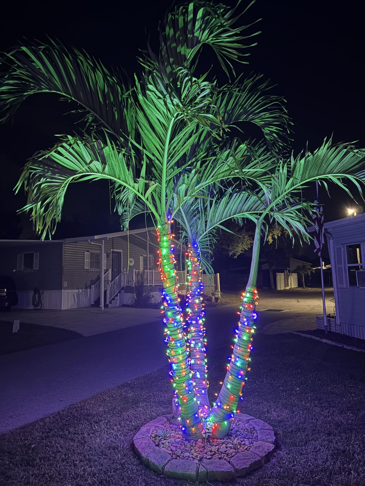 DEWENWILS Halloween Spotlight Outdoor,120V 500LM Landscape Lighting customer photo 2