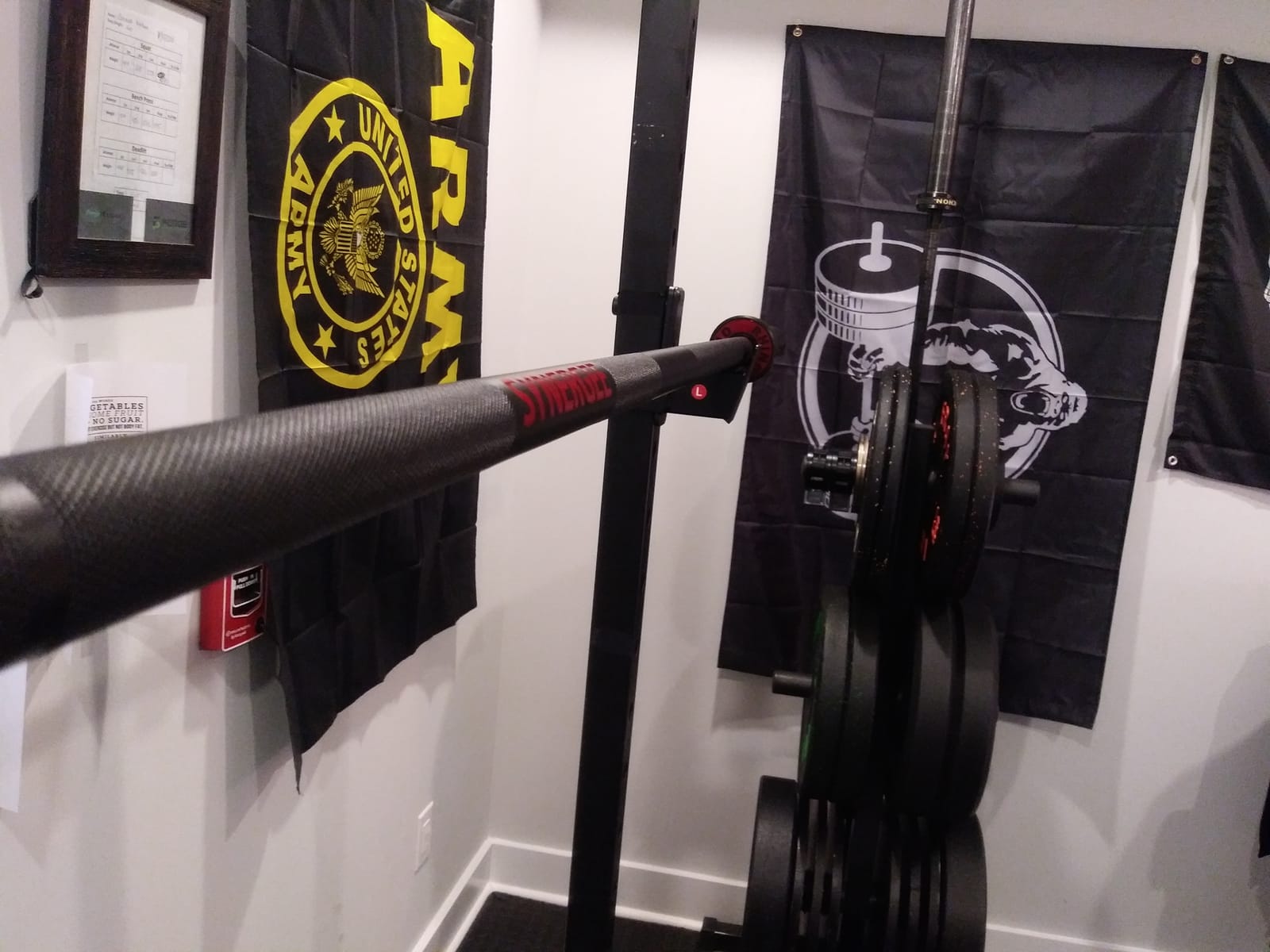 Synergee 45 lb Rhino Power Bar – Cerakote Finish 1500 lb Rated customer photo 2