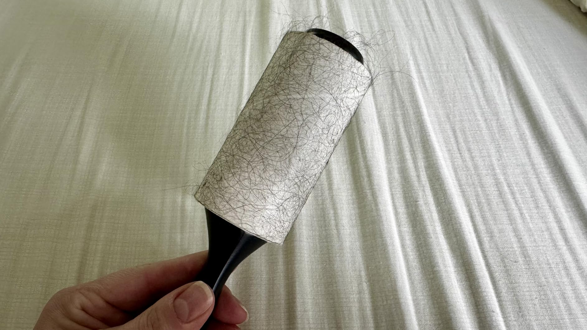 Lint Rollers for Pet Hair, White, Sticky Remover for Couch, Clothes, Furniture and Carpet, Dog and Cat Fur Remover, Animal Fuzz, 5 Large Sticky Rollers customer photo 1