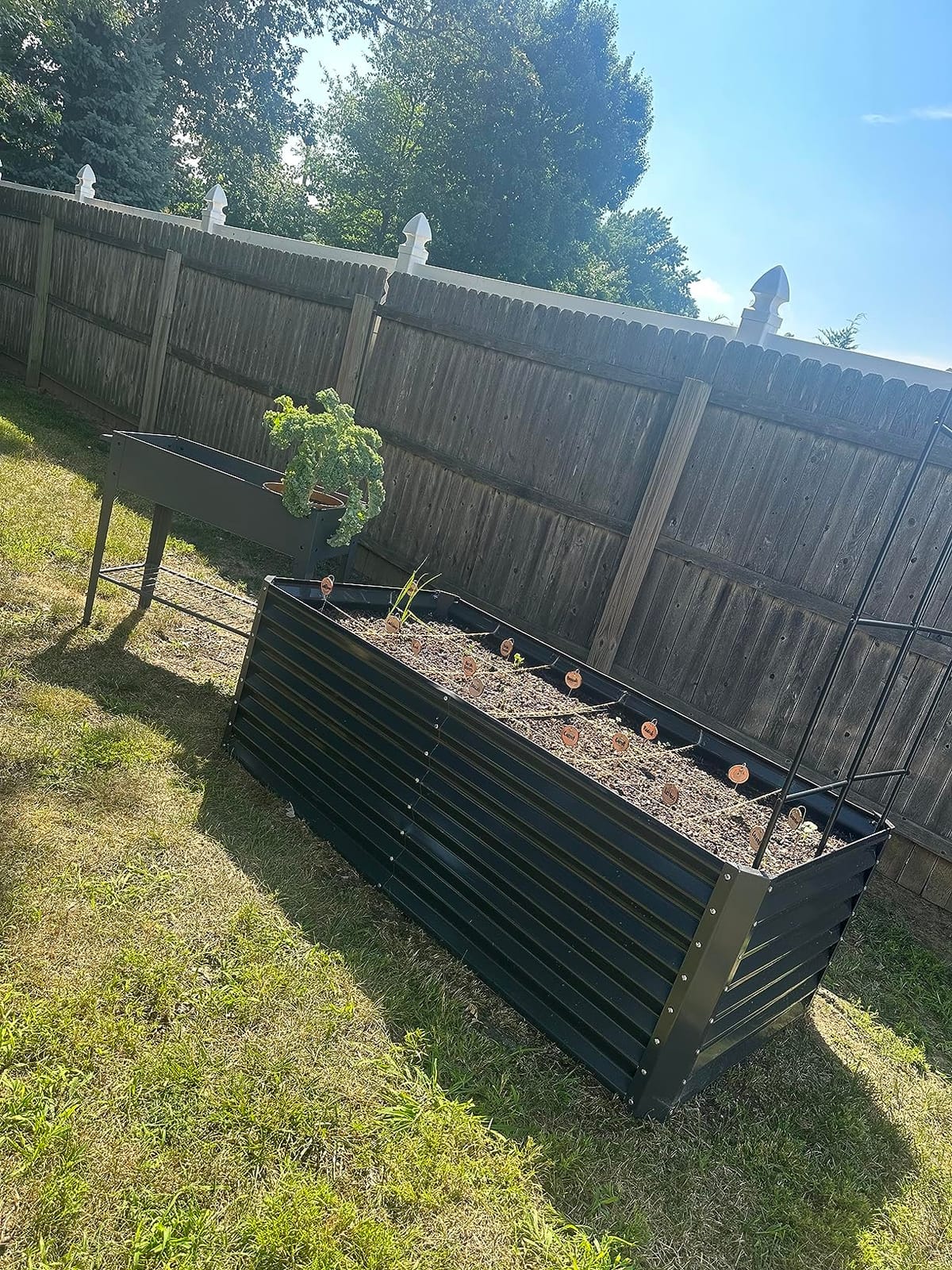 31.5