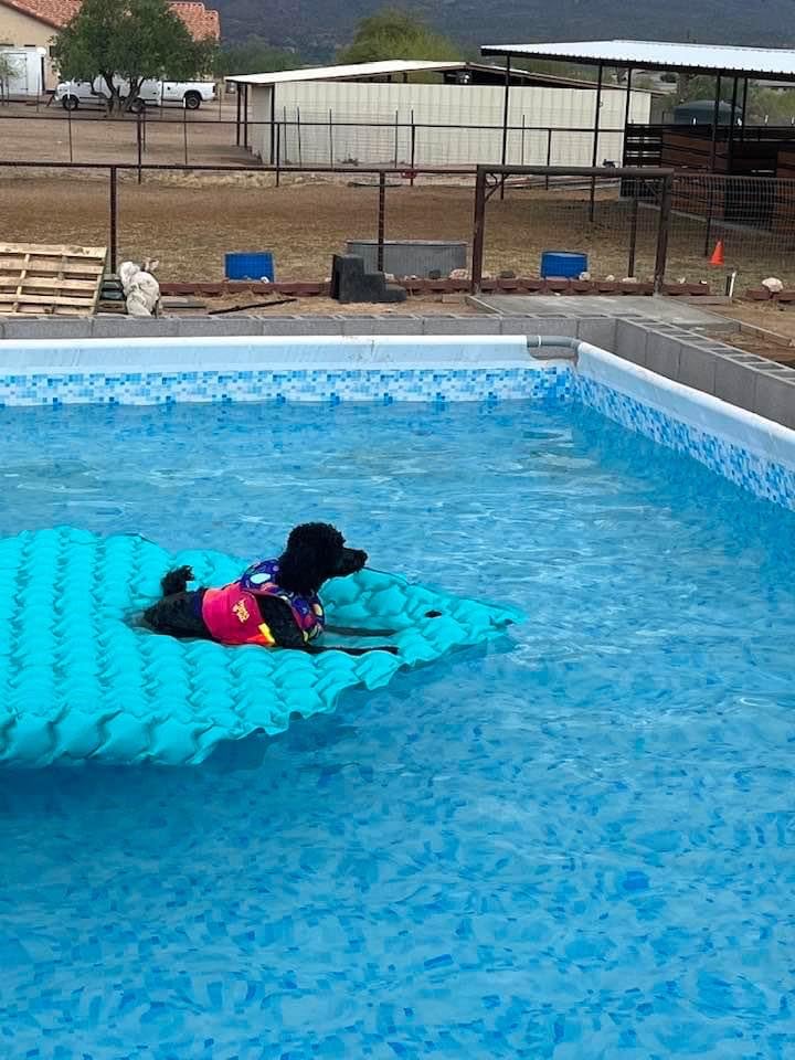 Intex Giant Inflatable Floating Water Mat Relaxing Platform Pad for Pools and Lakes with 4 Connect 'n Float Connectors, Teal (2 Pack) customer photo 2