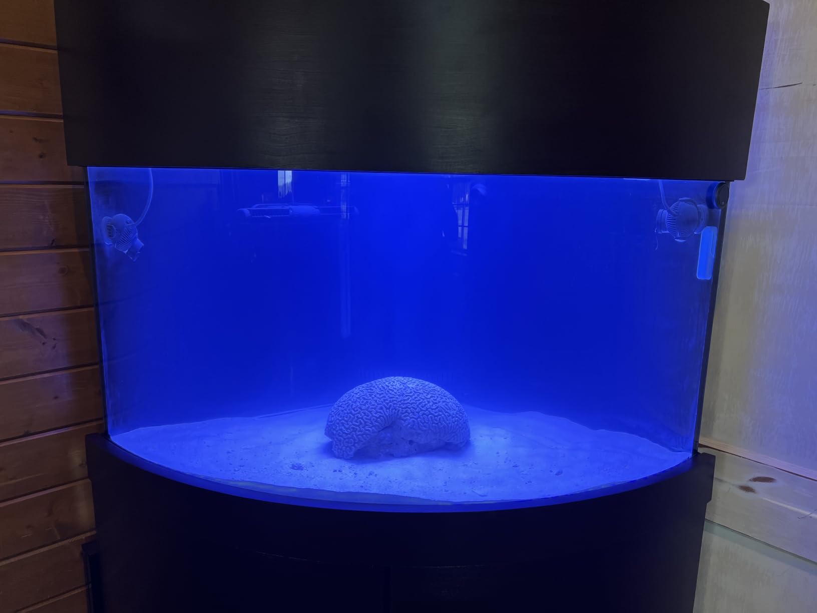 VIPARSPECTRA 165W LED Aquarium Light Dimmable Full Spectrum LED Reef Lights customer photo 1