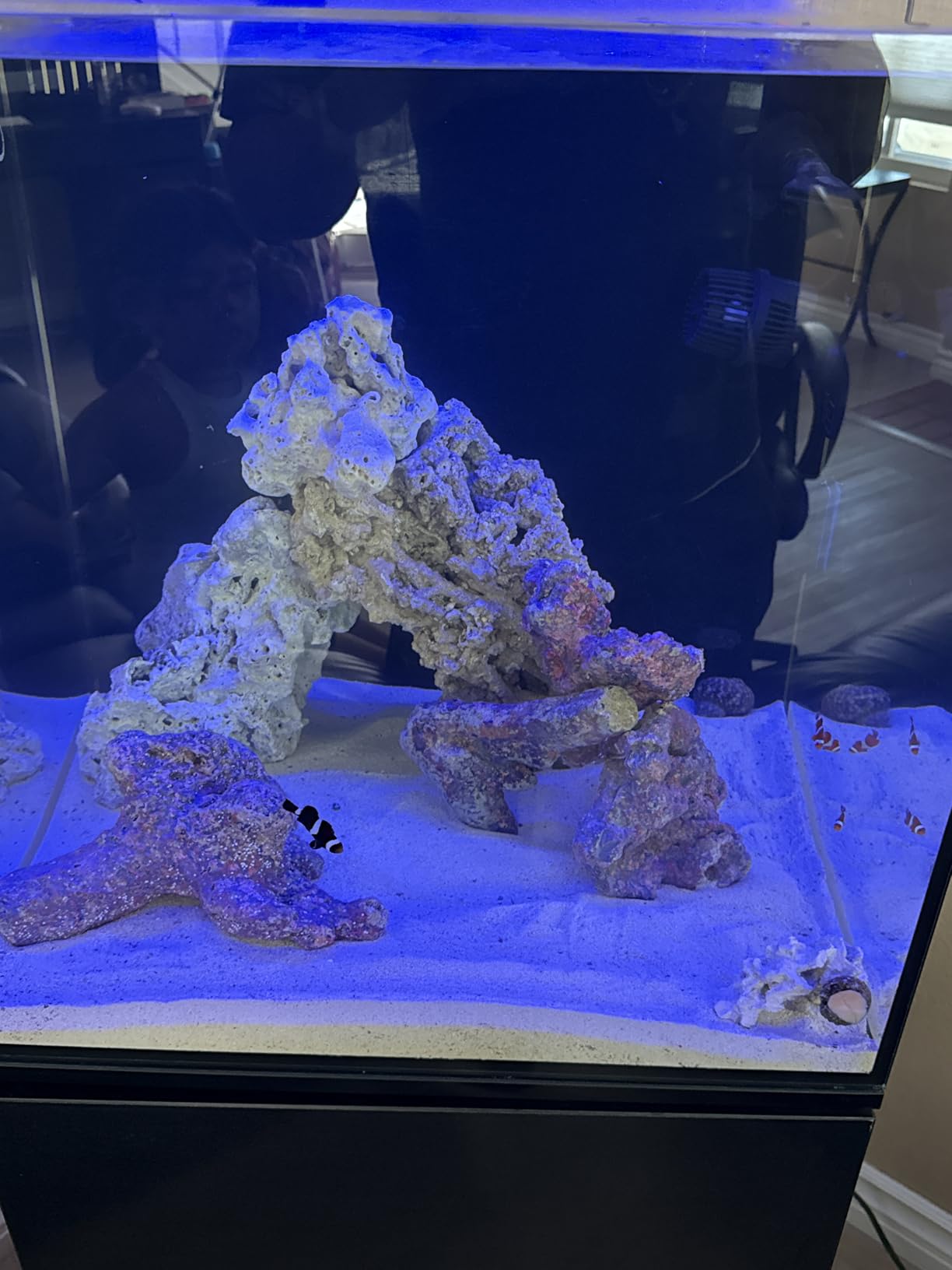 VIPARSPECTRA 165W LED Aquarium Light Dimmable Full Spectrum LED Reef Lights customer photo 2