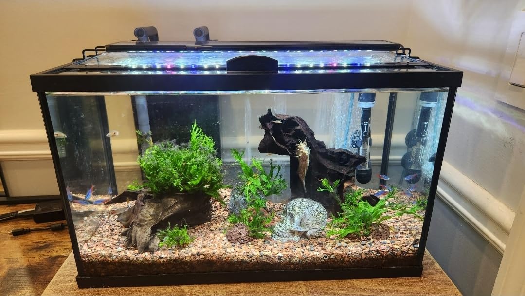 AQUANEAT LED Aquarium Light Full Spectrum for 18 Inch to 24 Inch Fish Tank Light Fresh Water customer photo 2