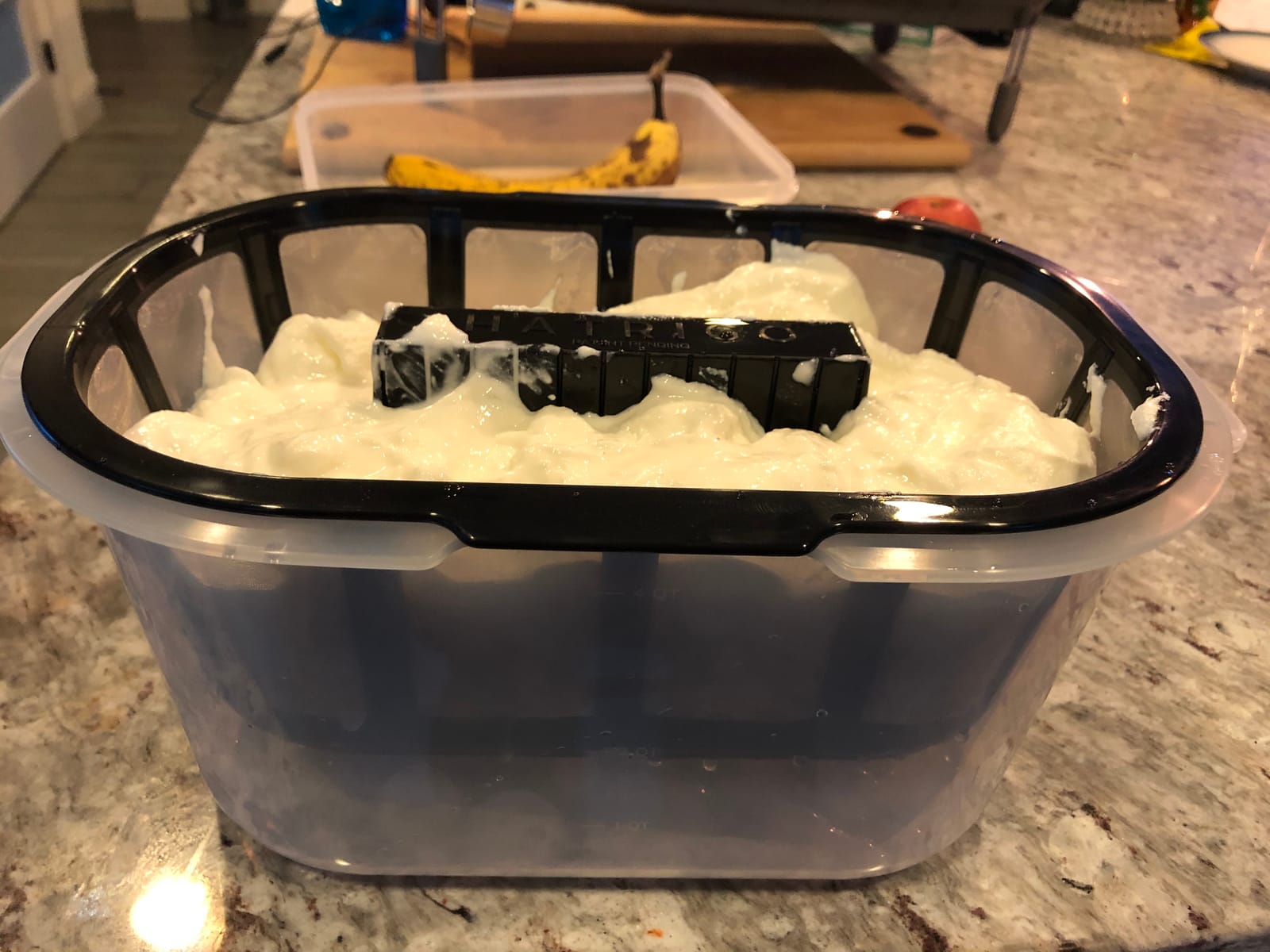 Hatrigo 1-Gallon Greek Yogurt Maker with Extra Fine Mesh BPA-Free Large Stainless Steel Strainer, Makes Thick Creamy Greek Yogurt (14 x 10 x 7 in) customer photo 2