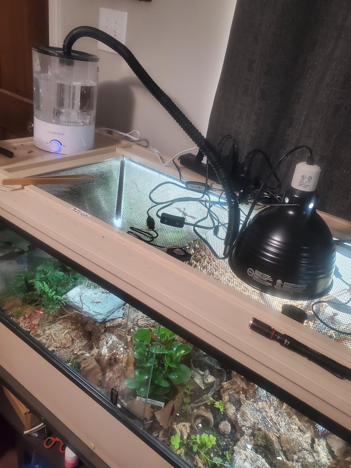 Coospider 3.8L Reptile Fogger Mister, Quiet Reptile Humidifier for Reptiles Tank, Terrarium Humidifiers with Extended Tube, Automatic Reptile Misting System for Reptiles Amphibians Herps Vivarium customer photo 2
