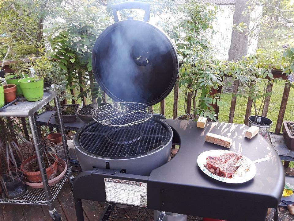 Char-Griller AKORN Kamado Charcoal Grill and Smoker with Durable Grill Cart, Cast Iron Grates and Warming Rack, 445 Cooking Square Inches in Sapphire, Model E56520 customer photo 2