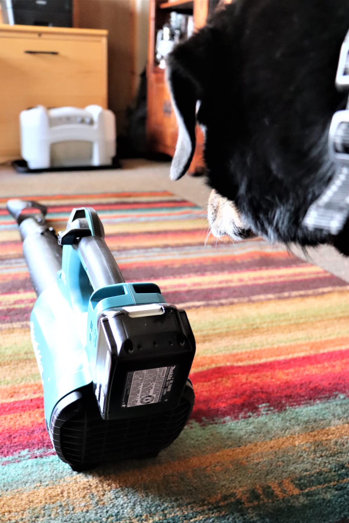 Makita XBU03Z 18V LXT® Lithium-Ion Brushless Cordless Blower, Tool Only customer photo 2