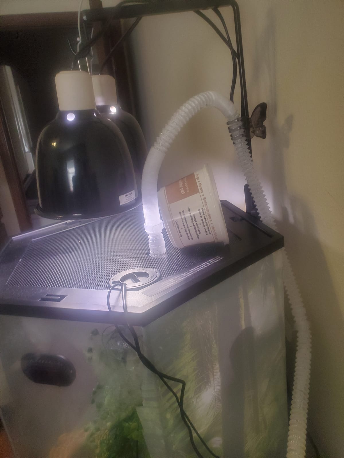 BETAZOOER Reptile Humidifier Mister Fogger Extension Amphibians Snake 2.5L customer photo 1