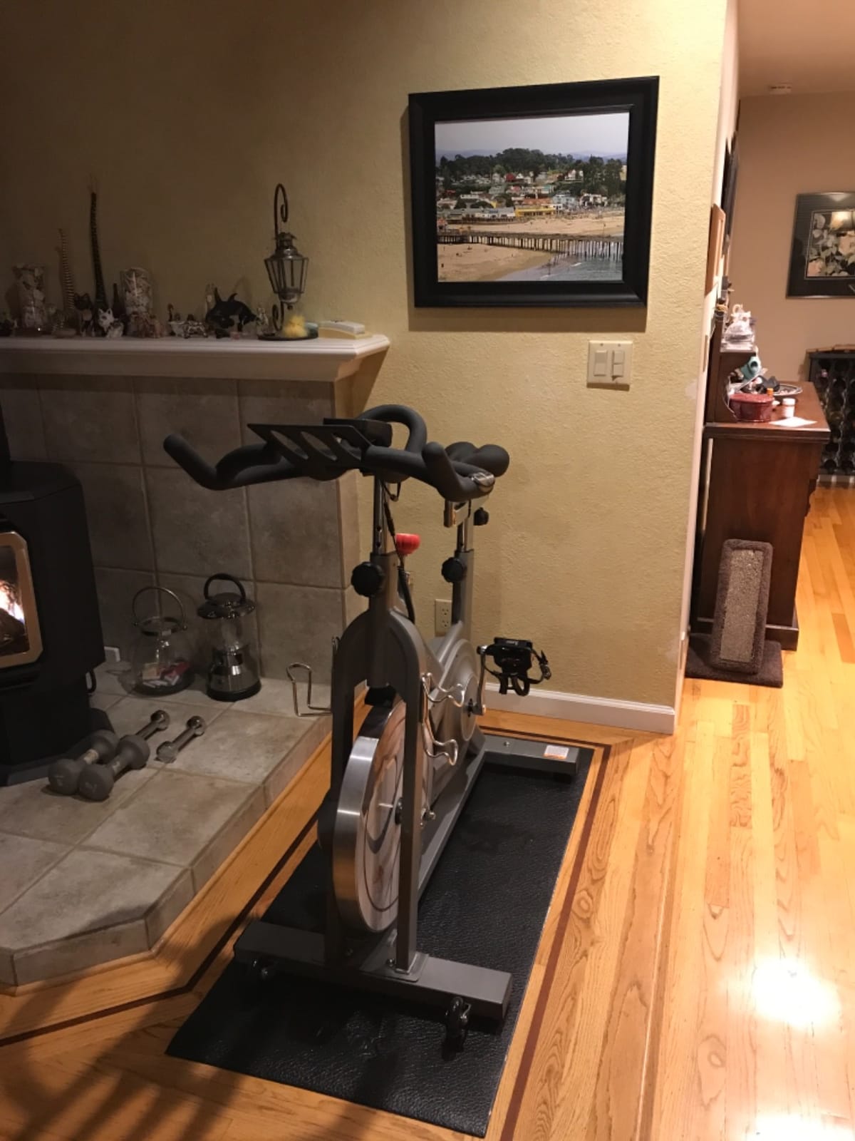 Sunny Health & Fitness Magnetic Exercise Bike for Indoor Cycling customer photo 1