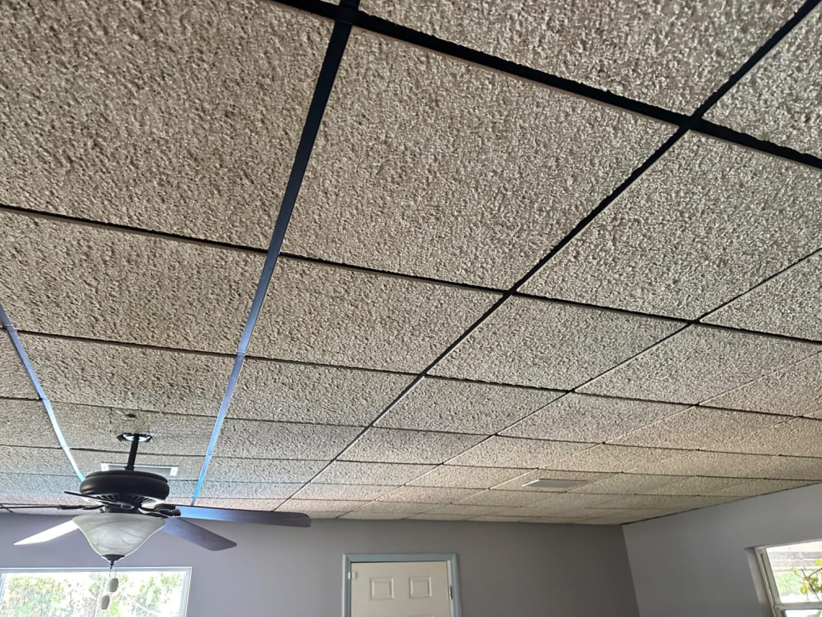 Genesis 2ft x 2ft Smooth Pro PVC Ceiling Tiles (12 Tiles) customer photo 2