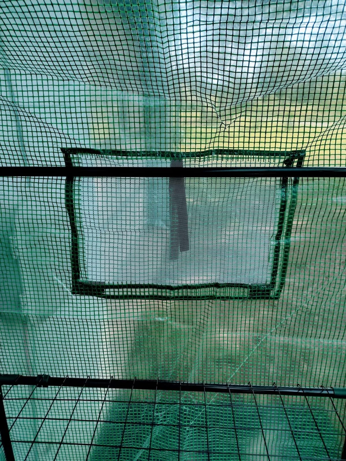 56x30x76 Mini Walk-in Greenhouse, Portable Plant House with 3-Tier Shelves customer photo 1