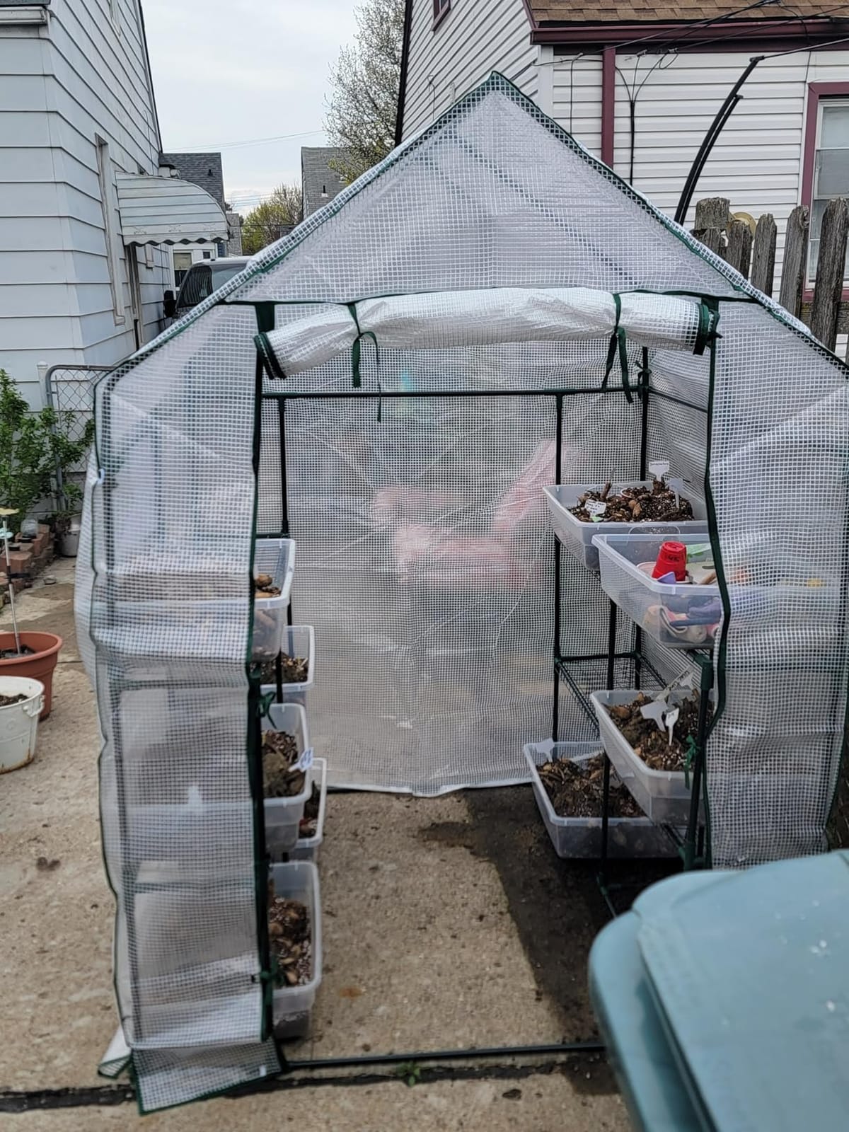56x30x76 Mini Walk-in Greenhouse, Portable Plant House with 3-Tier Shelves customer photo 2