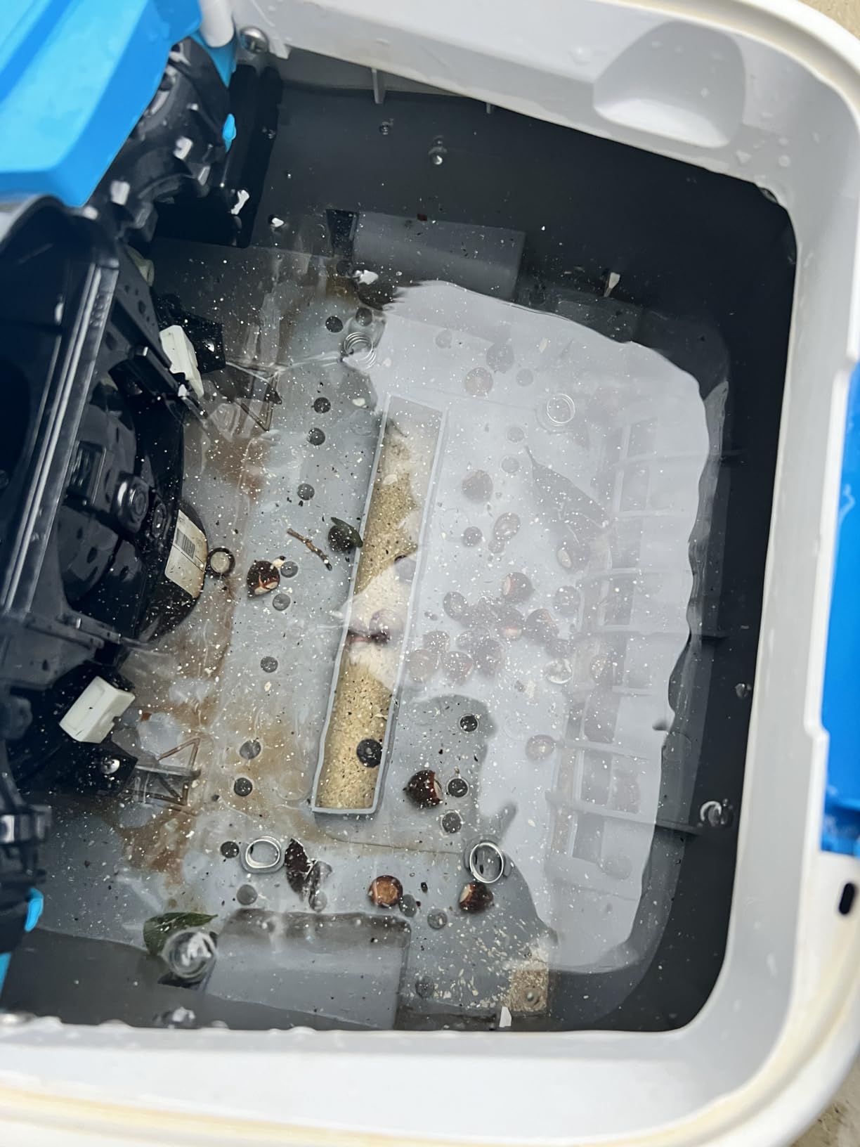 Dolphin Proteus DX5i Wi-Fi Automatic Robotic Pool Vacuum Cleaner, Wall Climbing, Waterline Scrubber Brush, Ideal for In-Ground Pool up to 50 FT in Length customer photo 1