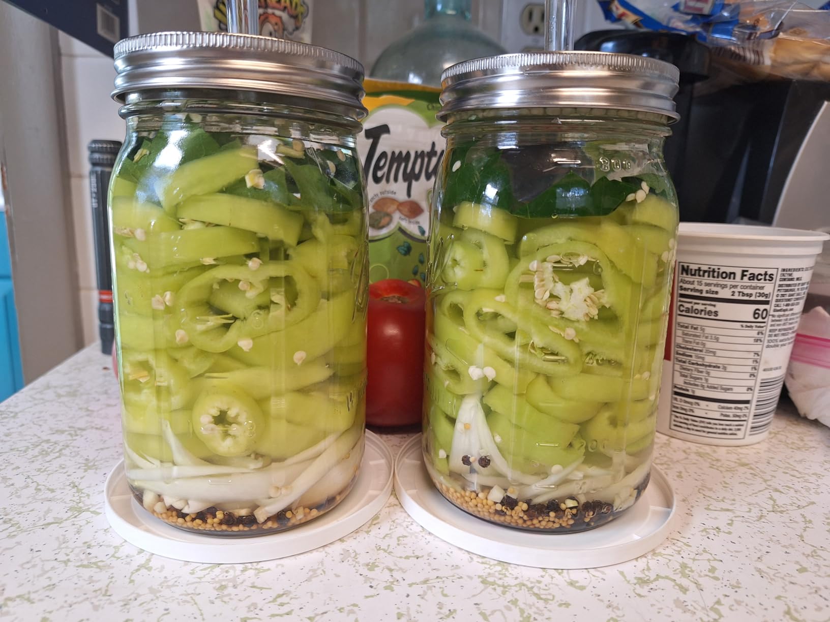Fermentation Lids, 6 Set Fermentation Kit for Wide Mouth Jars, 6 Stainless Steel Fermenting Lids with 6 Silicone Grommets, 6 Airlocks, 6 Silicone Rings(Jars Not Included) customer photo 1