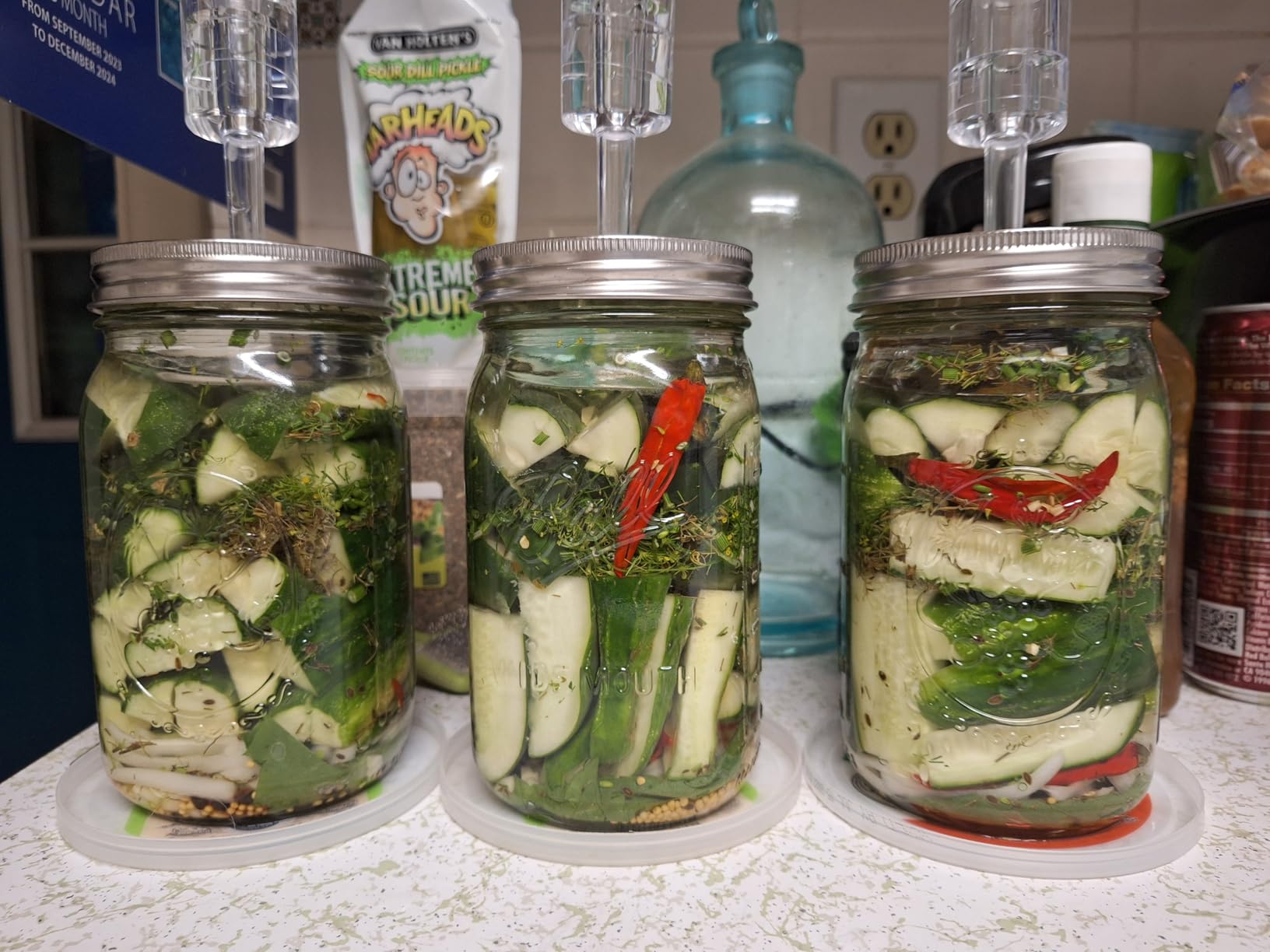 Fermentation Lids, 6 Set Fermentation Kit for Wide Mouth Jars, 6 Stainless Steel Fermenting Lids with 6 Silicone Grommets, 6 Airlocks, 6 Silicone Rings(Jars Not Included) customer photo 2