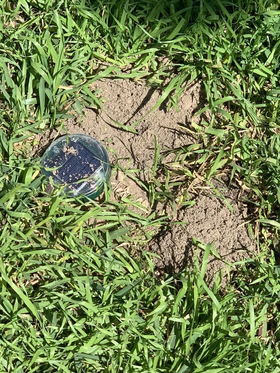 Gopher Repellent Ultrasonic Solar Powered - Mole Repellent Stakes Outdoor Pet Safe - Groundhog Repeller Snake Rodent Gopher Spikes Chaser - Sonic Mole Deterrent Devices (4) customer photo 2