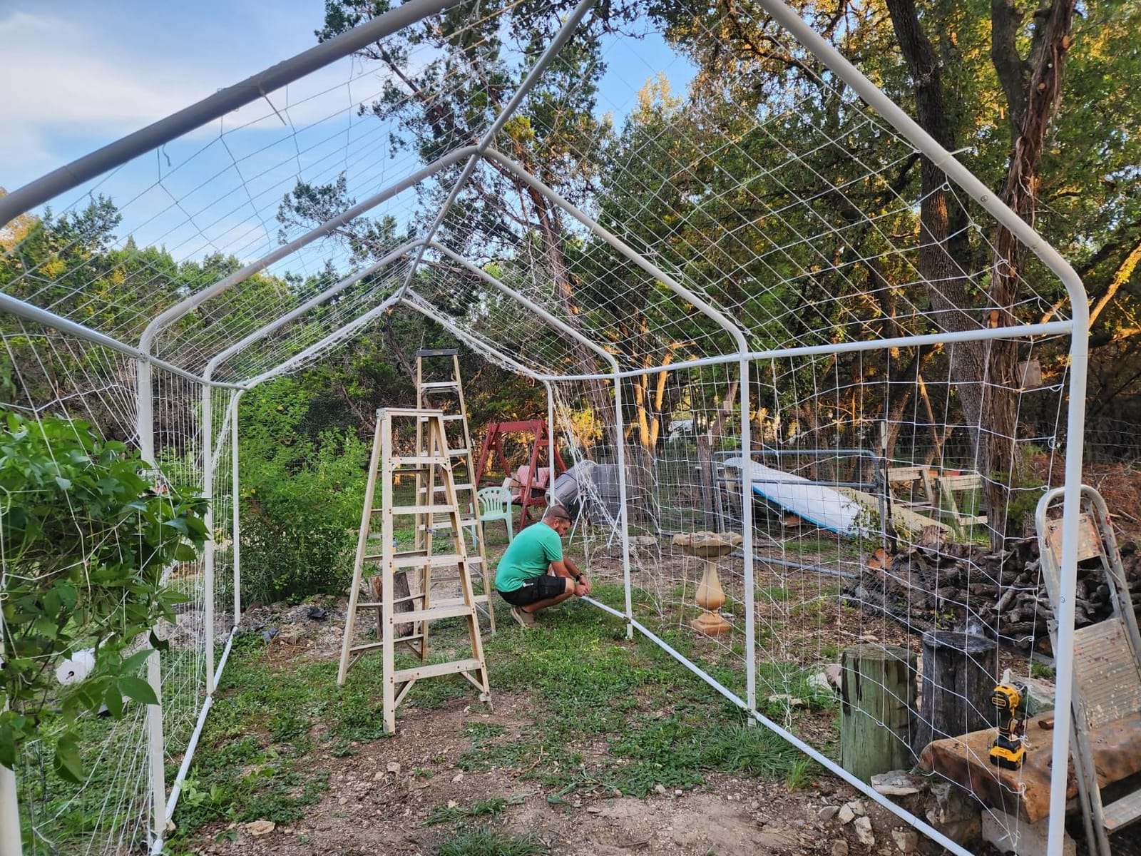 Toolazy Trellis Netting 5 x 350 ft - Heavy Duty Nylon Garden Netting with 6 Inch Mesh, Soft Plant Support Net for Tomatoes, Cucumbers, Peas, Vine Climbing Vegetables, Indoor Outdoor Greenhouse customer photo 1