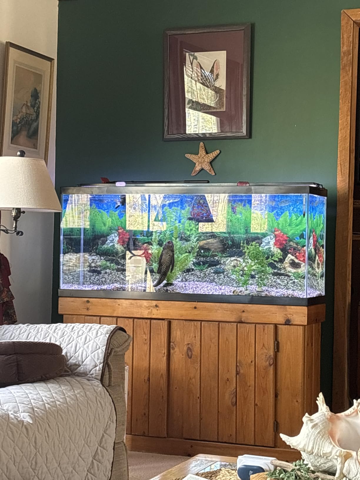 Tetra 29 Gallon Glass Aquarium, Rectangular Fish Tank customer photo 2