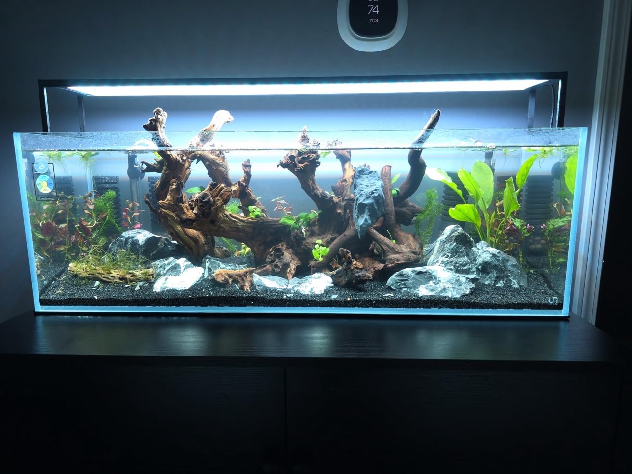 Ultum Nature Systems Ultra Clear Rimless Aquarium - Low Iron Glass Fish Tank with 45° Mitered Edges, 5mm-12mm Thick, Leveling Mat Included (5S, Shallow, 2 Gallon) customer photo 1