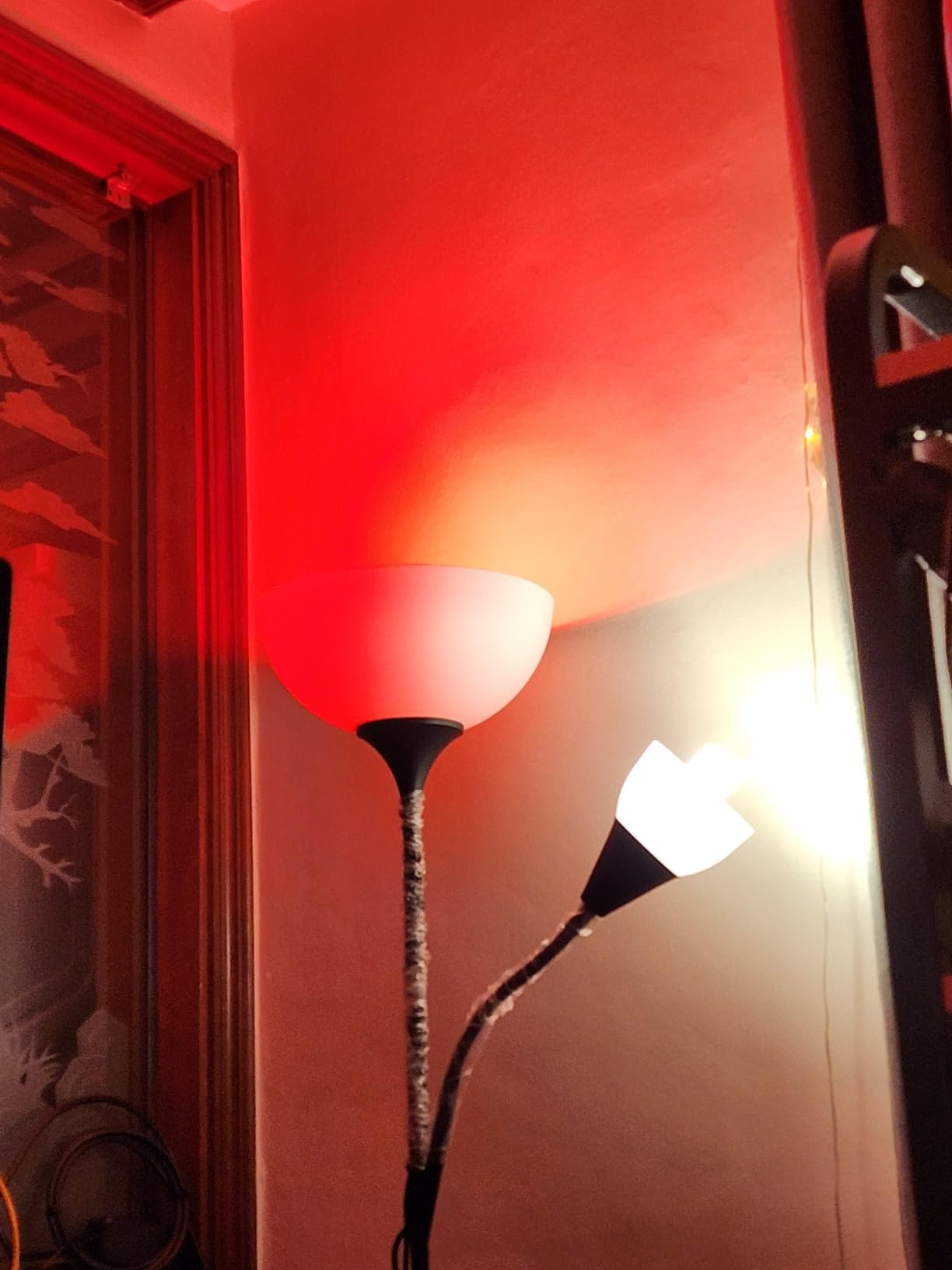 LIFX Smart Light Bulbs A19, RGB Color Changing, Matter, 75W 1100LM, 2 Pack customer photo 1