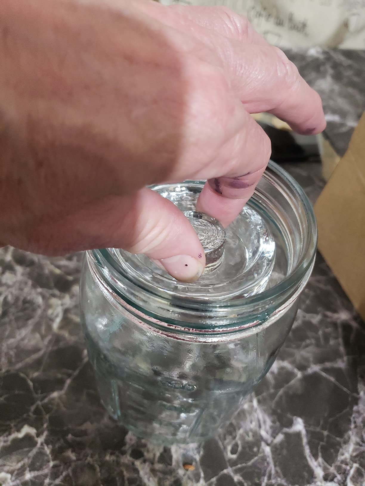 Jucoan 9 Pack Glass Fermentation Weights with Easy Grip Handle, Heavy Glass Fermenting Weights for Wide Mouth Mason Jars, Fermenting Lid Kit Pickling Weights for Kimchi, Sauerkraut, Dishwasher Safe customer photo 2