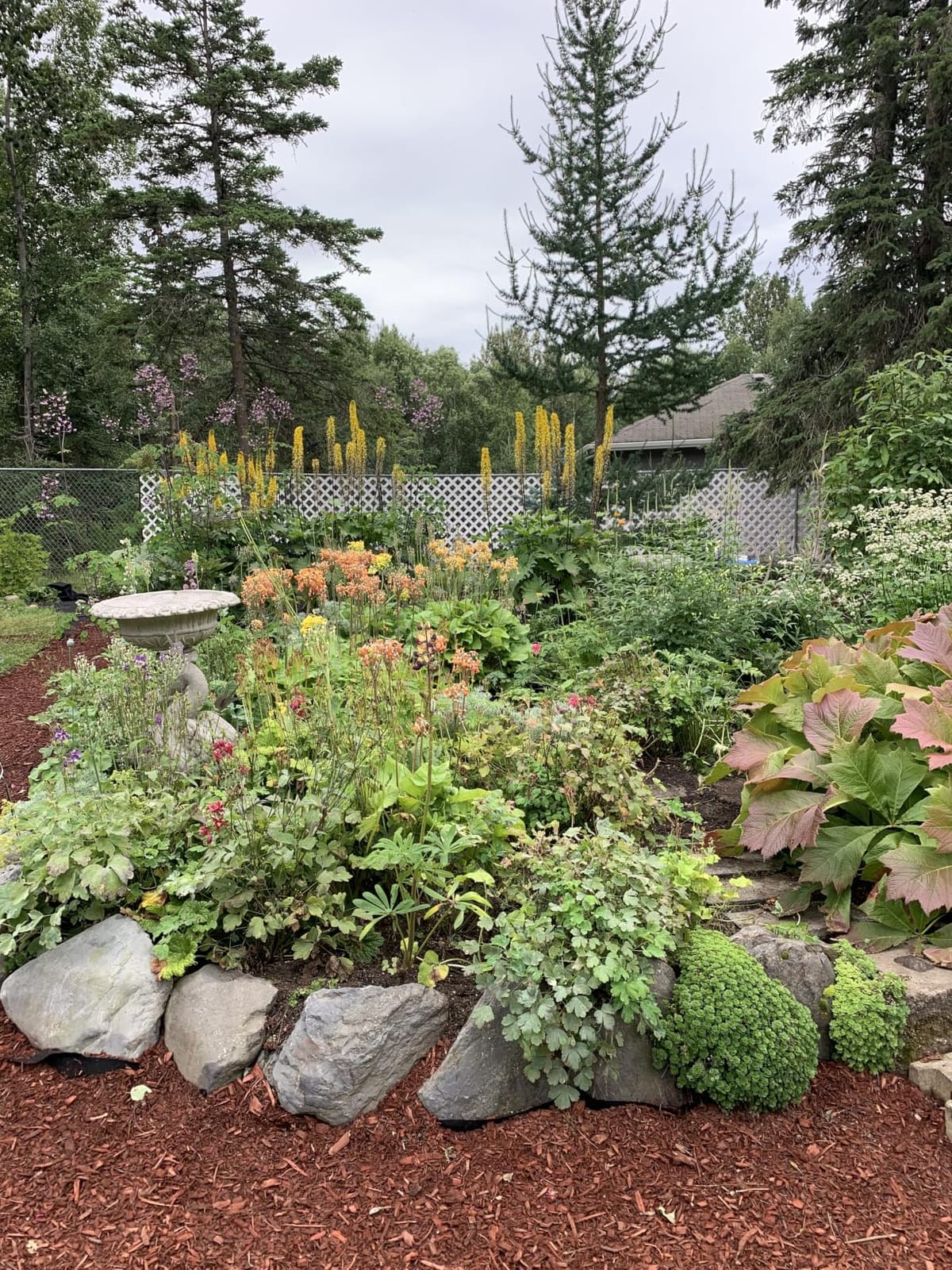 Super Geotextile 4, 6, 8 oz Non Woven Fabric for Landscaping, French Drains, Underlayment, Erosion Control, Construction Projects - 4 oz (3X50) customer photo 2