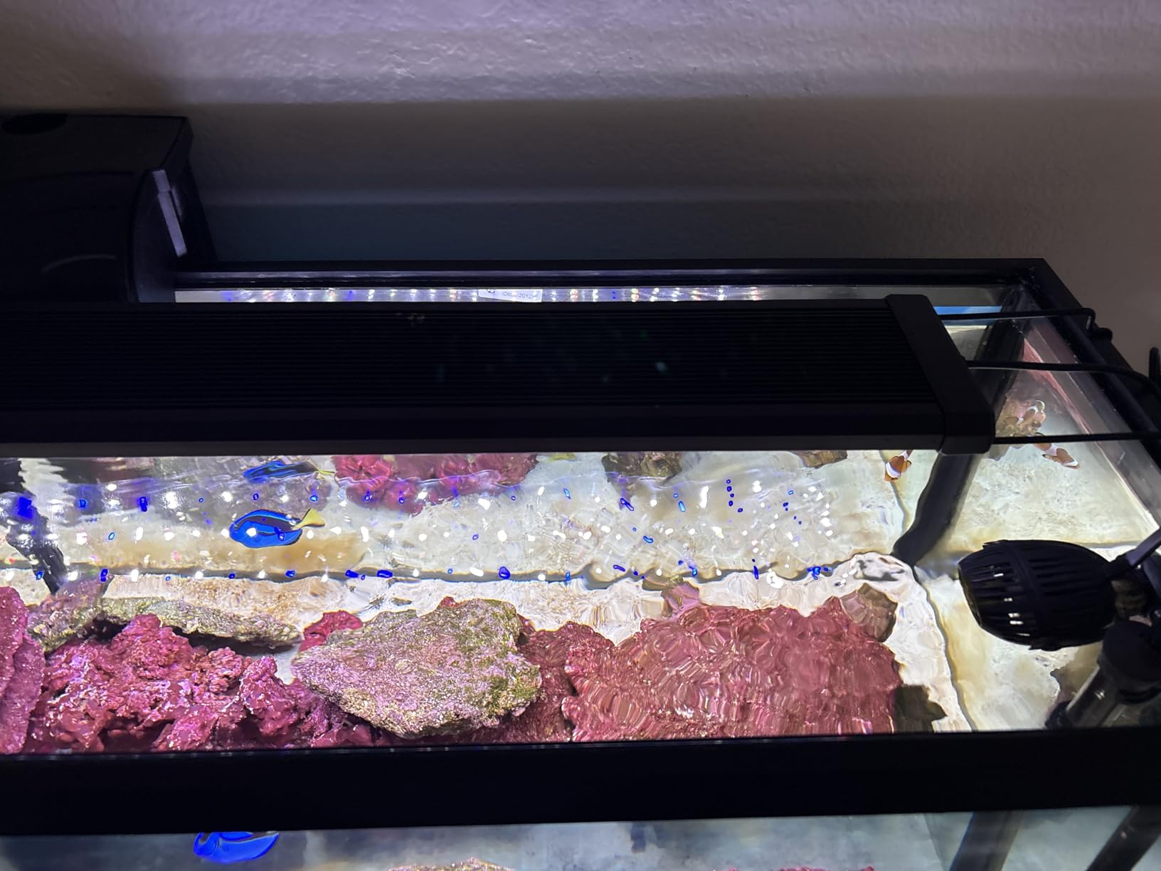 NICREW ClassicLED Marine Saltwater Aquarium Light, 48W for 48–60 inch Tanks customer photo 2