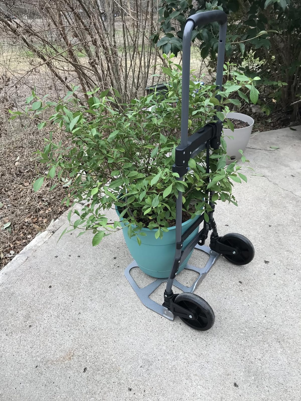 Leeyoung Folding Hand Truck and Dolly,309 lb Capacity Aluminum Portable Cart with Telescoping Handle and PP+EVA Wheels customer photo 2