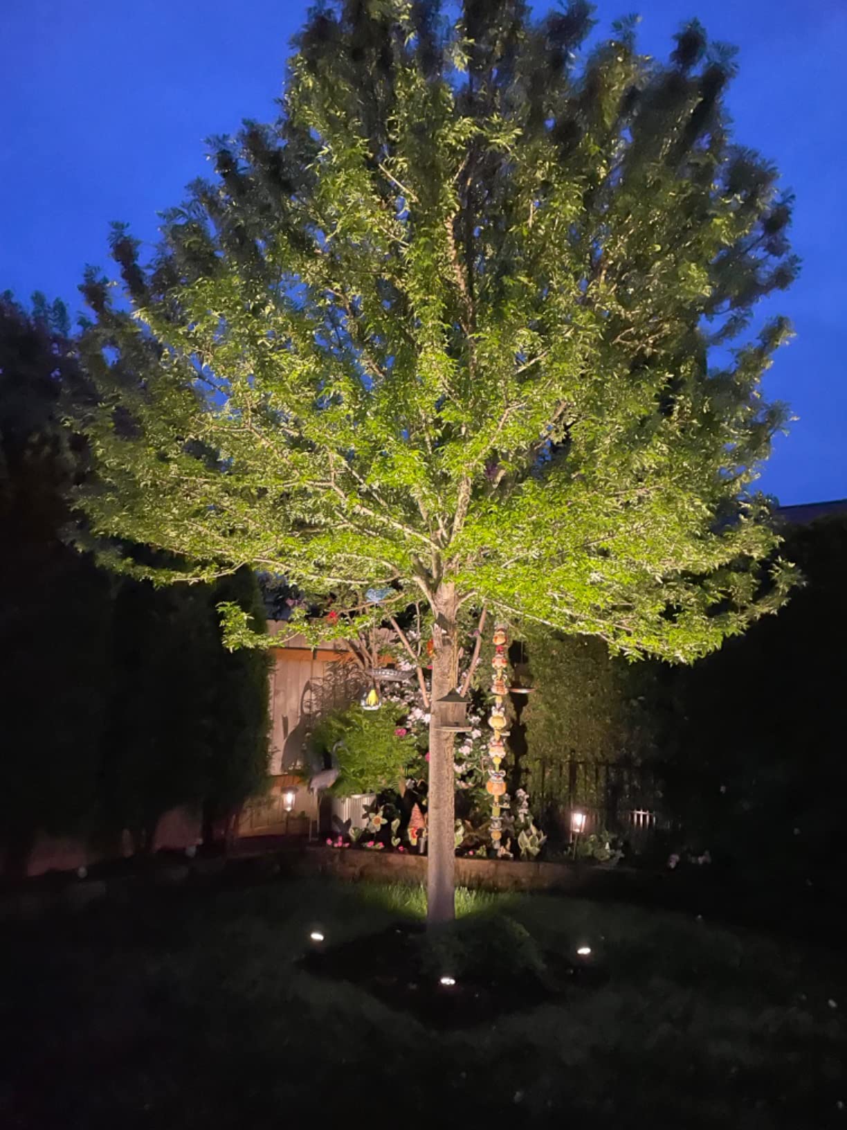 E ENERGETIC LIGHTING LED Landscape Lights with Connectors, 12V Low Voltage, Warm White 3000k, 4W, 175LM, Outdoor Waterproof Garden Pathway Lights Wall Tree Flag Spotlights with Spike Stand, 2 Pack customer photo 2