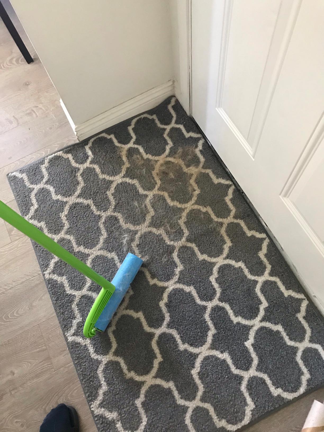 Leo 10-Inch Wide Lint Roller with Extendable Handle, Includes 1 Refill (25 Sheets), Extra Sticky for Pet Hair, Carpet & Floor Cleaning (1 Mega Roller) customer photo 1