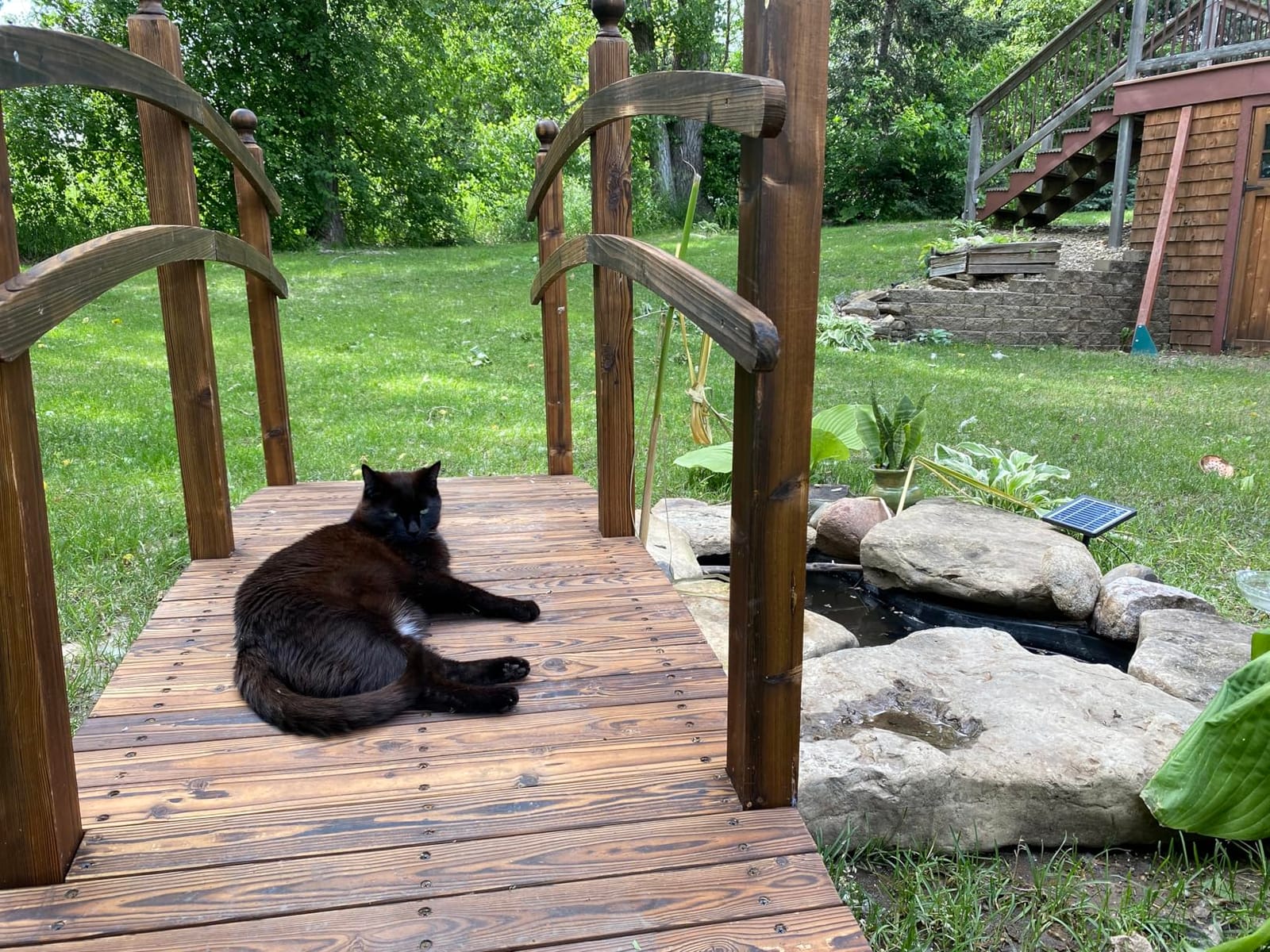 Outsunny 7.5' Wooden Arch Garden Bridge Safety Rails for Ponds Carbonized customer photo 2