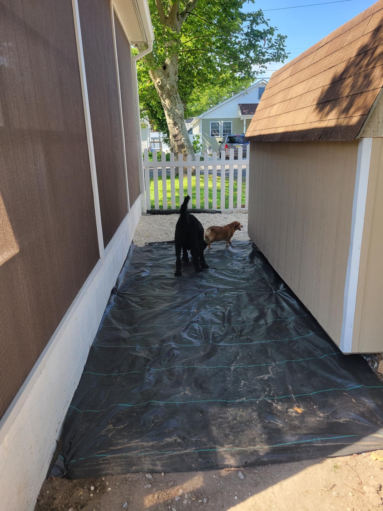 Happybuy 13ft x 108ft Driveway Fabric, 5oz Heavy Duty Weed Barrier Fabric customer photo 1