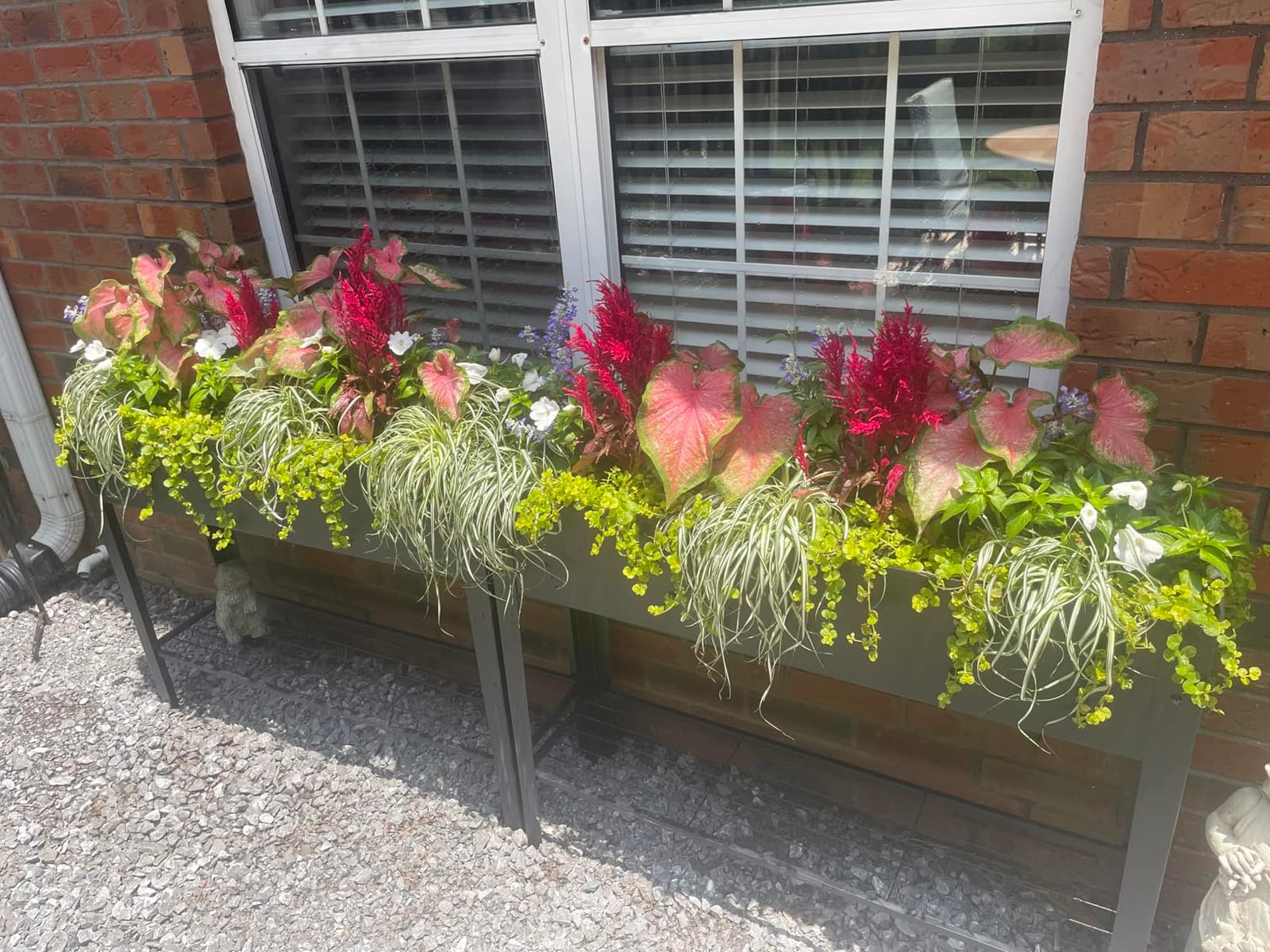 Piksedo Raised Garden Bed, Elevated Planter Metal Plant Box with Legs Standing Garden Stand Drainage Holes Frosted Black customer photo 1
