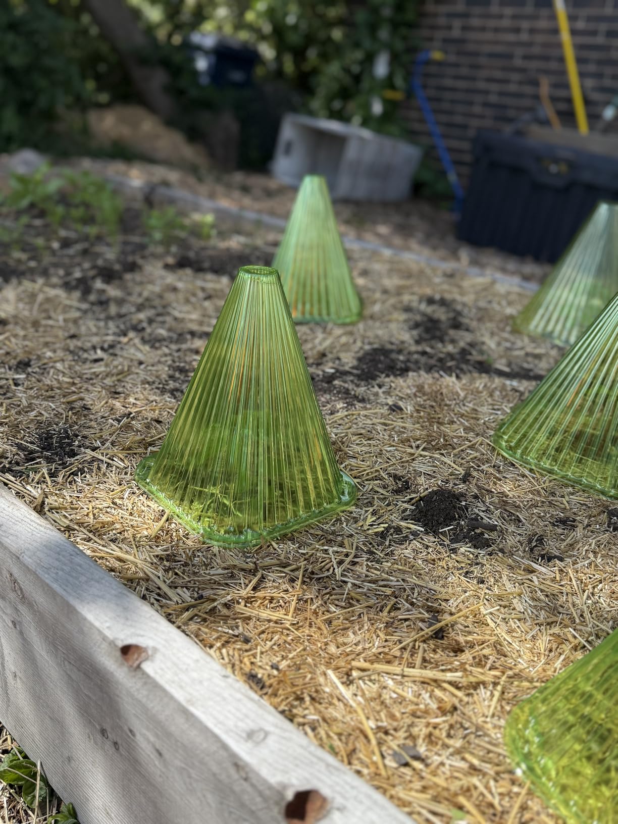 Fshow Garden Cloches,20 Pack Reusable Plant Bell Cover,Bell Jar Cloches for Protection Against Sun, Frost, Snails Etc. (Green) customer photo 2