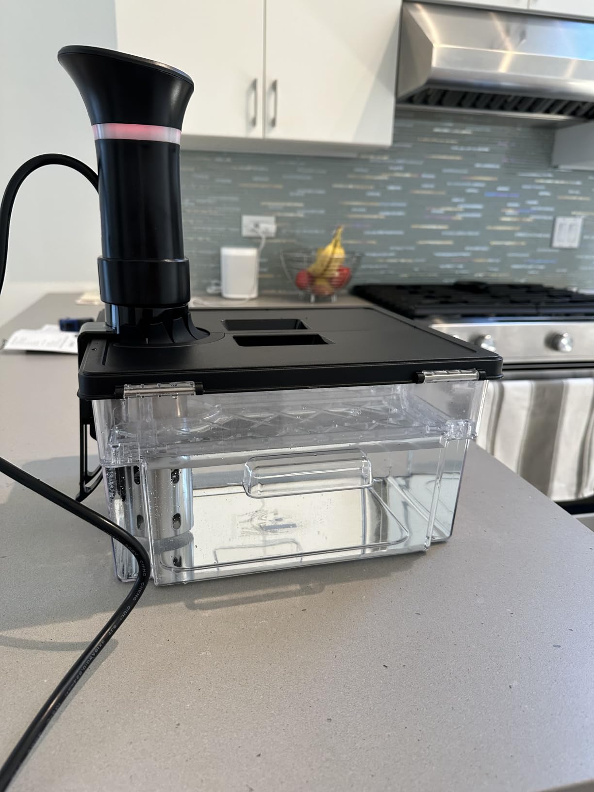 Sous Vide Cooker Machine 1000W Immersion Circulator with Recipe customer photo 2