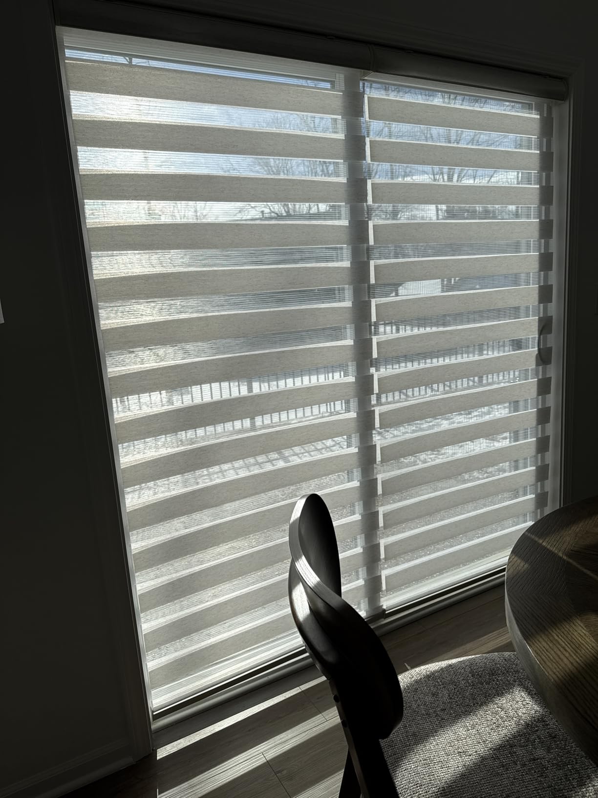 MYshade Roller Shades Zebra Blinds for Indoor Windows Cordless Day and Night Light Filtering Dual Layer Roller Window Blinds & Shades, Easy to Install, Size 38