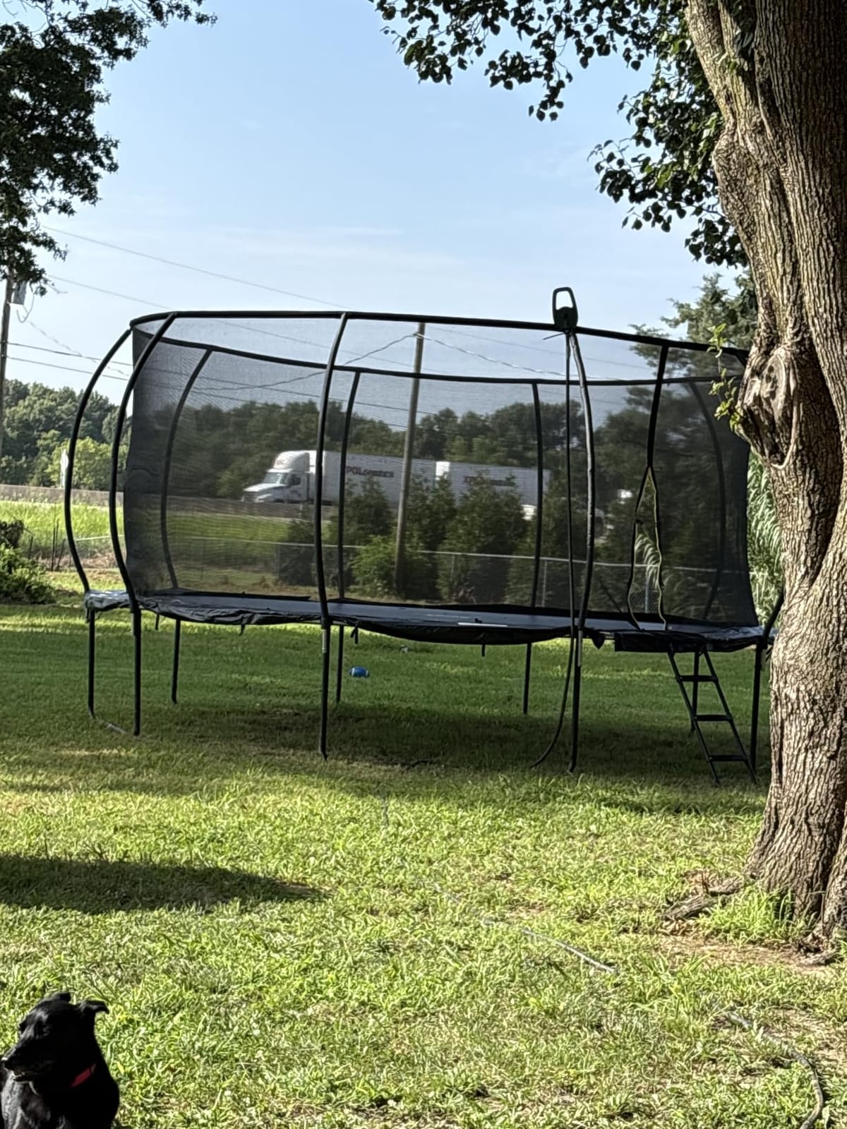 Jumpzylla Outdoor Trampoline with Net for Kids 8FT 10FT 12FT 14FT 15FT 16FT customer photo 2