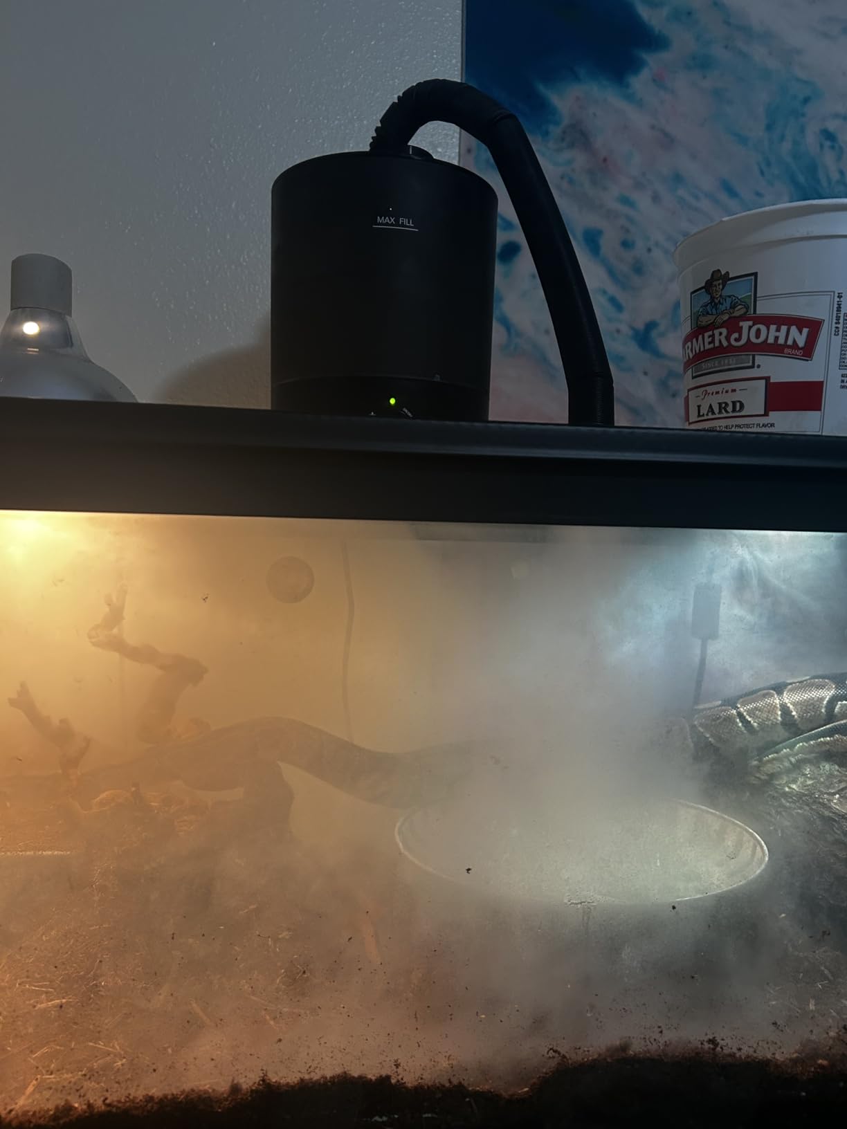 MRREPTILE Reptile Fogger Humidifiers Mister, Misting System for Reptiles, Terrarium Fogger Humidifier, 2.8L Large Capacity Reptifogger [UPGRADE] customer photo 1