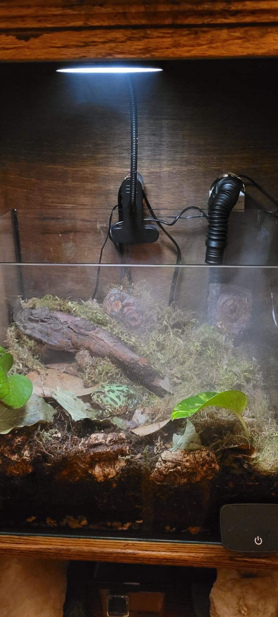 MRREPTILE Reptile Fogger Humidifiers Mister, Misting System for Reptiles, Terrarium Fogger Humidifier, 2.8L Large Capacity Reptifogger [UPGRADE] customer photo 2