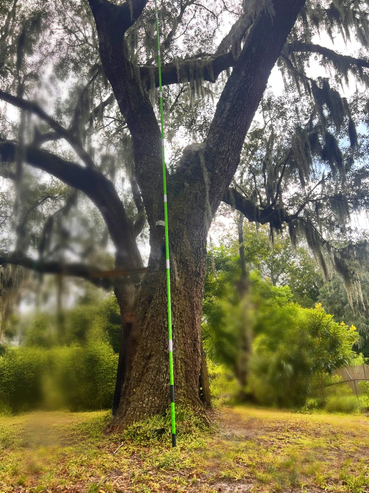 27 Feet Tree Pole Pruner Manual Branches Trimmer Tree Branch Garden Tools Loppers Hand Pole Saws Extendable Height customer photo 2