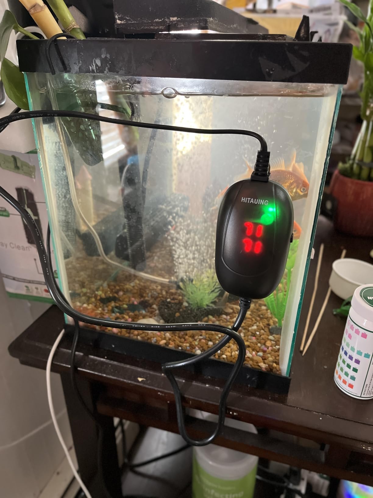 HiTauing Aquarium Heater, 50W/100W/200W/300W/500W Submersible Fish Tank Heater with Over-Temperature Protection and Automatic Power-Off When Leaving Water for Saltwater and Freshwater customer photo 1