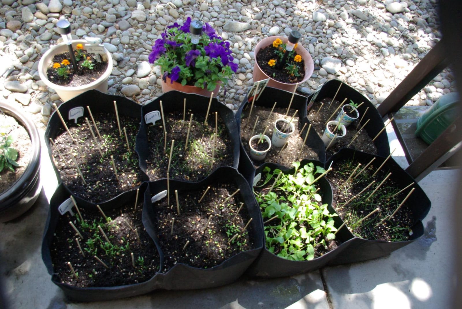 Gardzen 2 Pack Fabric Raised Garden Beds customer photo 1