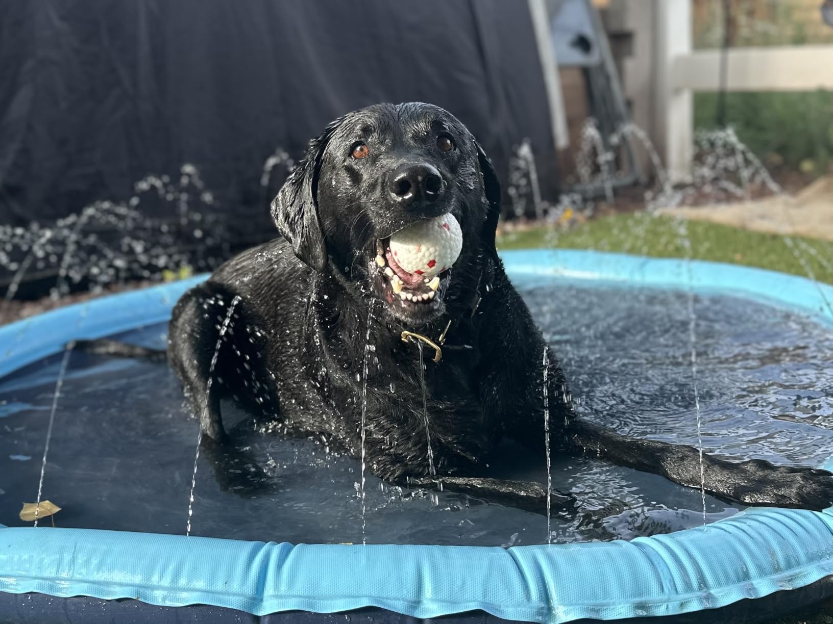 Raxurt Non-Slip Splash Pad for Kids and Dog, 67'' Splash Pad Thicken 0.58mm for Kids Ages 4-8 Toddler Baby Splash Sprinkler Pad Dog Pool Summer Outdoor Water Toys for Boys Girls customer photo 2